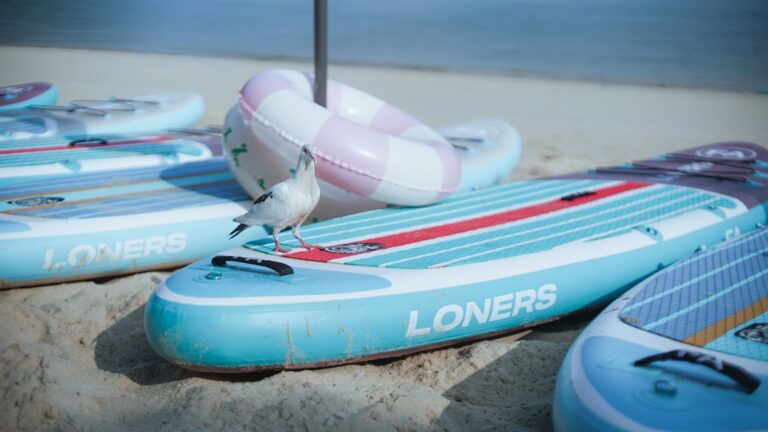 Best Travel Tools to Enhance Your Journey Experience