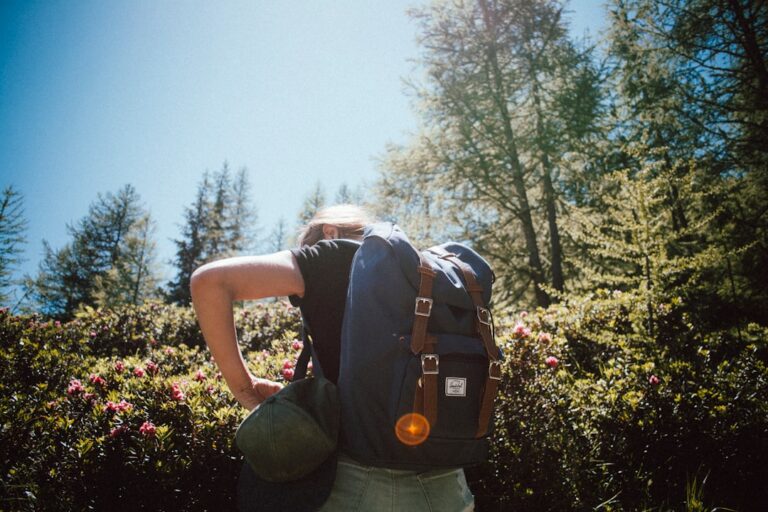 Travel Essentials: What Every Traveler Should Pack